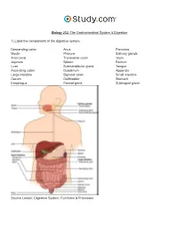 The Gastrointestinal System & Digestion Visual Worksheet