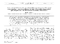 (= Amphioxus) Branchiostoma Floridae