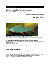 Chondrostoma Nasus) Ecological Risk Screening Summary