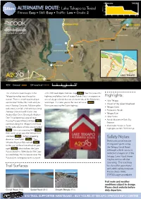 Lake Tekapo to Twizel Highlights