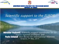 The Danube Strategy Serbia