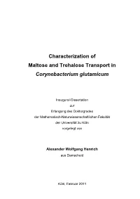Dissertation Alexander Henrich