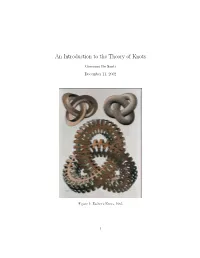 An Introduction to the Theory of Knots