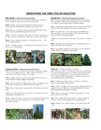 Identifying the Tree You've Selected