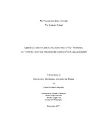Open CR-Thesis-Final-Final.Pdf