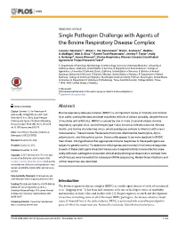 Single Pathogen Challenge with Agents of the Bovine Respiratory Disease Complex