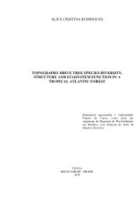 Topography Drive Tree Species Diversity, Structure and Ecosystem Function in a Tropical Atlantic Forest