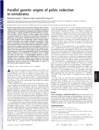 Parallel Genetic Origins of Pelvic Reduction in Vertebrates