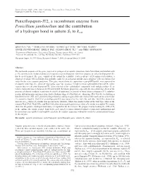 Penicillopepsin-JT2, a Recombinant Enzyme from Penicillium Janthinellum and the Contribution of a Hydrogen Bond in Subsite S3 to Kcat