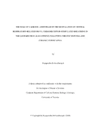 The Role of Carbonic Anhydrase in the Modulation of Central