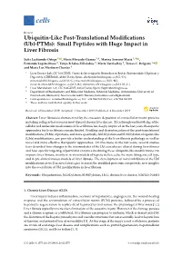 (Ubl-Ptms): Small Peptides with Huge Impact in Liver Fibrosis