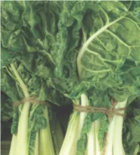 Vegetables.Pdf