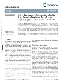 Calycindaphines A–J, Daphniphyllum Alkaloids from the Roots of Daphniphyllum Calycinum