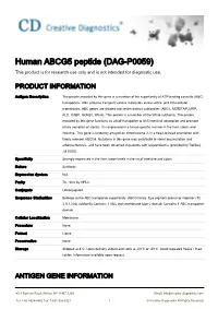 Human ABCG5 Peptide (DAG-P0059) This Product Is for Research Use Only and Is Not Intended for Diagnostic Use