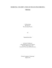 Modeling and Simulation of Single Stranded RNA Viruses
