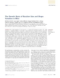The Genetic Basis of Baculum Size and Shape Variation in Mice