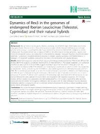 Dynamics of Rex3 in the Genomes of Endangered Iberian Leuciscinae (Teleostei, Cyprinidae) and Their Natural Hybrids Carla Sofia A