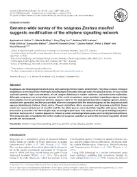 Genome-Wide Survey of the Seagrass Zostera Muelleri Suggests Modification of the Ethylene Signalling Network