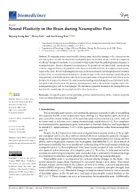 Neural Plasticity in the Brain During Neuropathic Pain