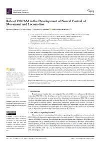 Role of DSCAM in the Development of Neural Control of Movement and Locomotion