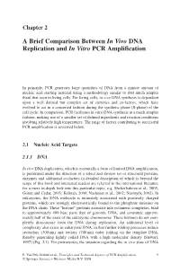 A Brief Comparison Between in Vivo DNA Replication and in Vitro PCR Amplification