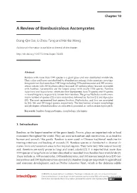 A Review of Bambusicolous Ascomycetes