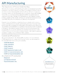 API Manufacturing