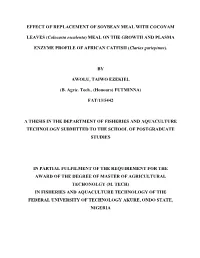 Effect of Replacement of Soybean Meal with Cocoyam