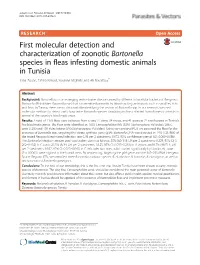 First Molecular Detection and Characterization of Zoonotic