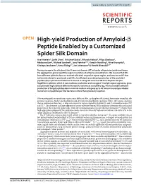 High-Yield Production of Amyloid-Β Peptide Enabled by a Customized