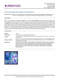 Recombinant Human RING1 & YY1 Binding Protein Description Product