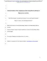 Characterization of the Exopolysaccharide Biosynthesis Pathway In