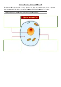 Lesson 1 : Structure of Animal and Plant Cells