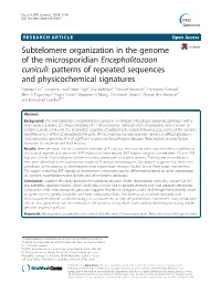Subtelomere Organization in the Genome of the Microsporidian Encephalitozoon Cuniculi: Patterns of Repeated Sequences and Physic