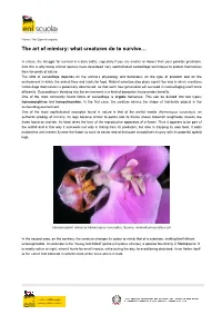 The Art of Mimicry: What Creatures Do to Survive…