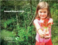 Annual Report 2019