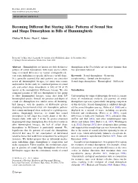 Becoming Different but Staying Alike: Patterns of Sexual Size and Shape Dimorphism in Bills of Hummingbirds