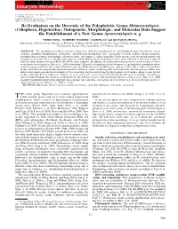 (Ciliophora, Hypotricha): Ontogenetic, Morphologic, and Molecular Data Suggest the Establishment of a New Genus Apourostylopsis N