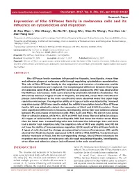 Expression of Rho Gtpases Family in Melanoma Cells and Its Influence on Cytoskeleton and Migration