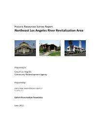 Surveyla Survey Report Template