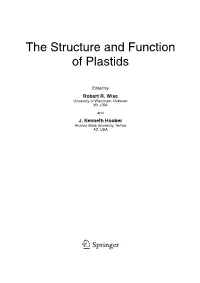 The Structure and Function of Plastids
