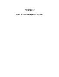 APPENDIX C Terrestrial Wildlife Species Accounts