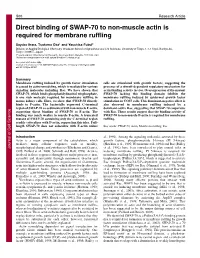 Direct Binding of SWAP-70 to Non-Muscle Actin Is Required for Membrane Ruffling