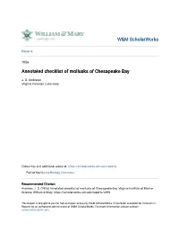 Annotated Checklist of Mollusks of Chesapeake Bay