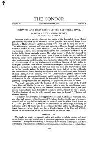 Behavior and Food Habits of the Red-Tailed Hawk