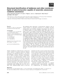 Structural Identification of Ladderane and Other Membrane Lipids Of