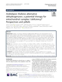 Arabidopsis Thaliana Alternative Dehydrogenases: a Potential