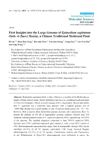 First Insights Into the Large Genome of Epimedium Sagittatum (Sieb
