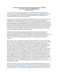 BRAIN Neuroethics Working Group Meeting