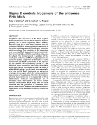 Sigma E Controls Biogenesis of the Antisense RNA Mica Klas I